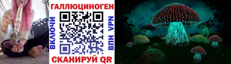 Галлюциногенные грибы Cubensis  Ворсма 